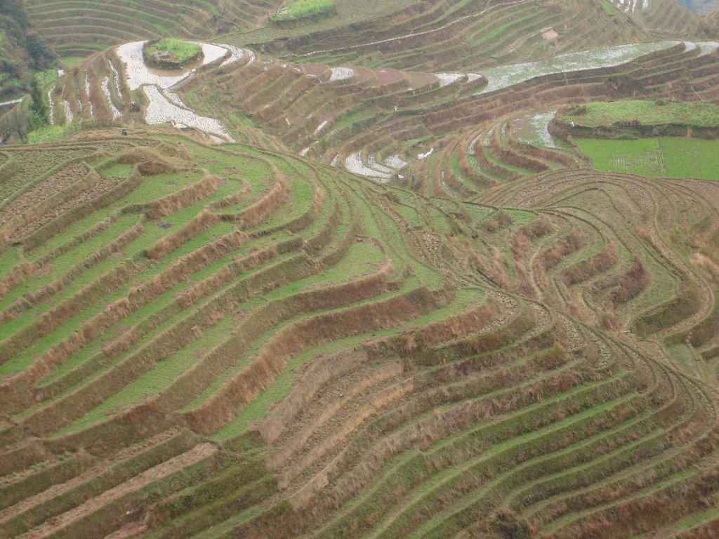 LongJi Terraces