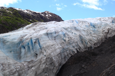 Exit Glacier