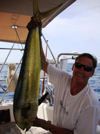 Mahi in route to Ecuador.