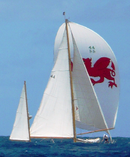 Griffin on spinnaker sail.