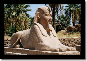 egypt7